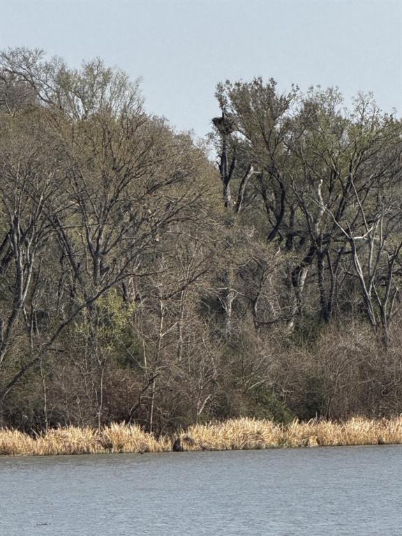 298 Redbud A Mexia, TX 76667 - Photo 33 of 40