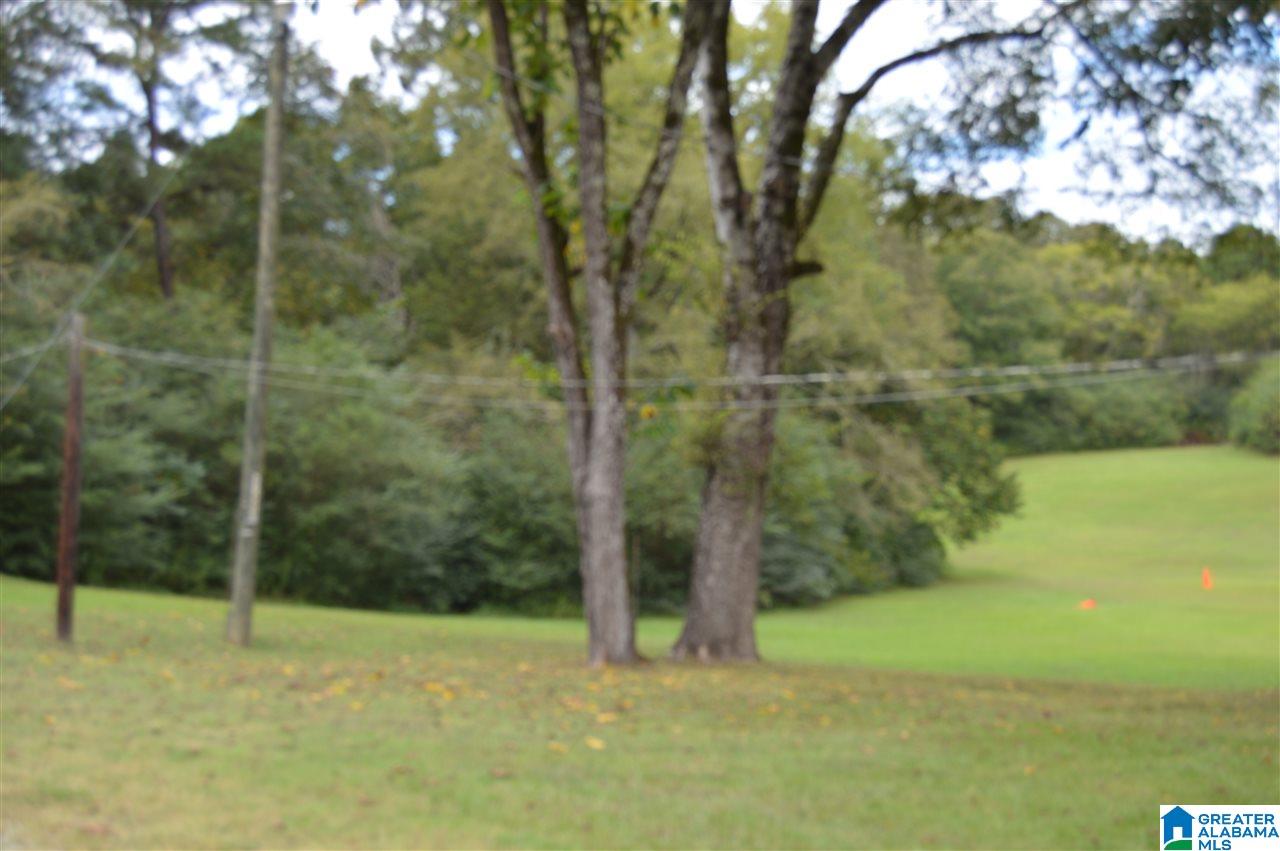 8850 Central Road Warrior, AL 35180 - Photo 31 of 31