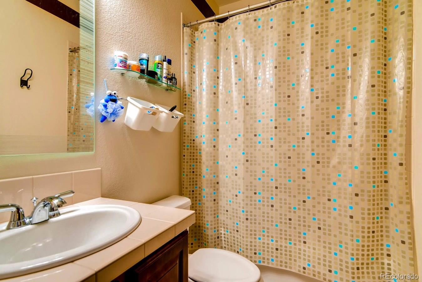 326 Maplehurst Point Highlands Ranch, CO 80126 - Photo 27 of 33 Gallery Image 27