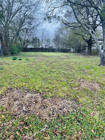 a view of a garden with a tree