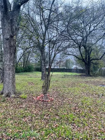a view of a yard with a tree