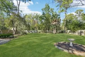 a view of a grassy field with trees