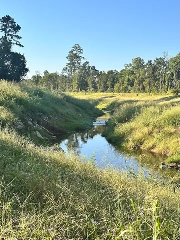 a view of a lake with a mountain