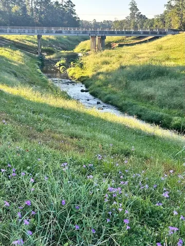 a view of a lake with houses in the back