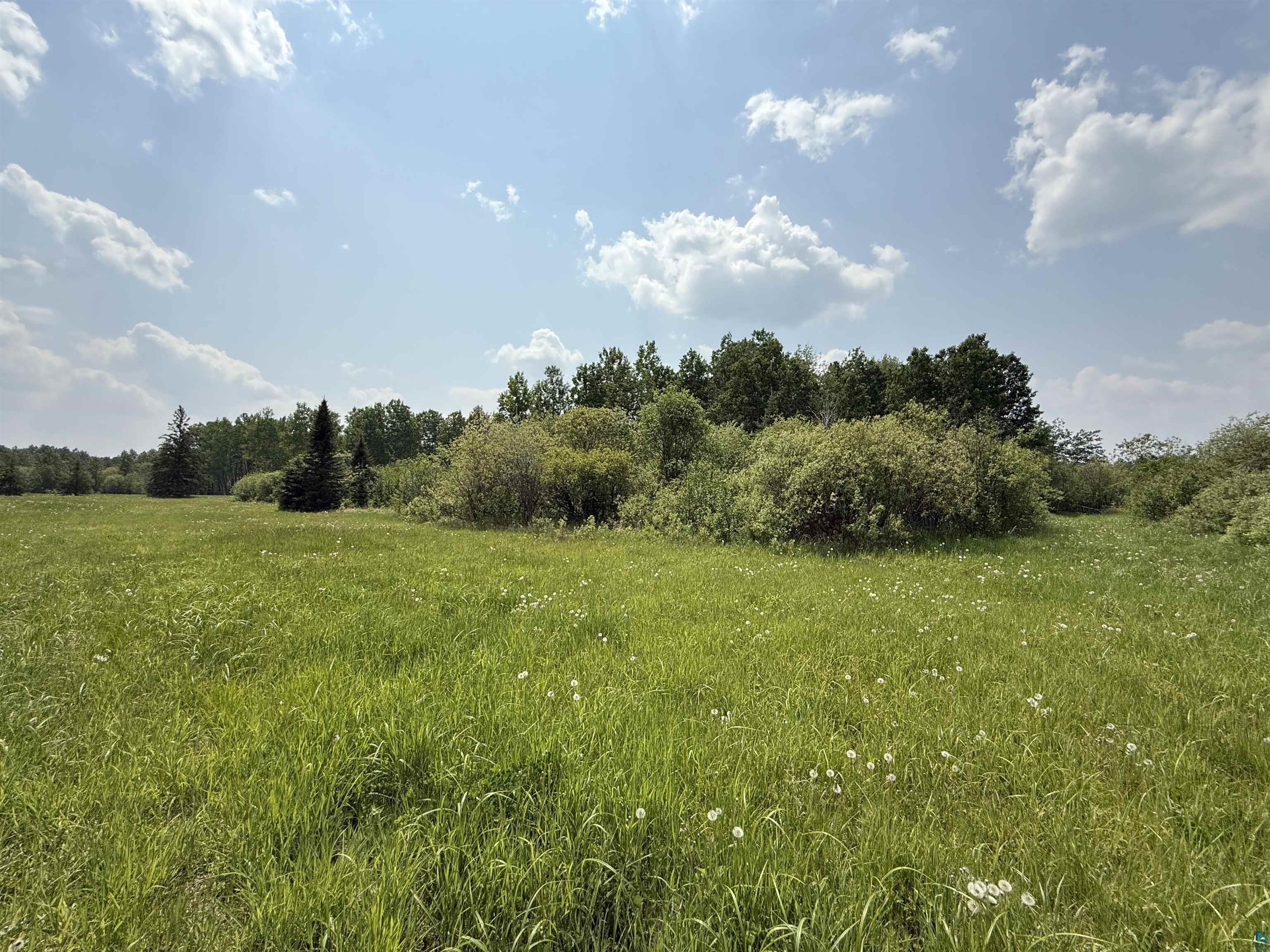 Tbd Samuelson Road Angora, MN 55703 - Photo 30 of 43 View of undeveloped land featuring rural landscape