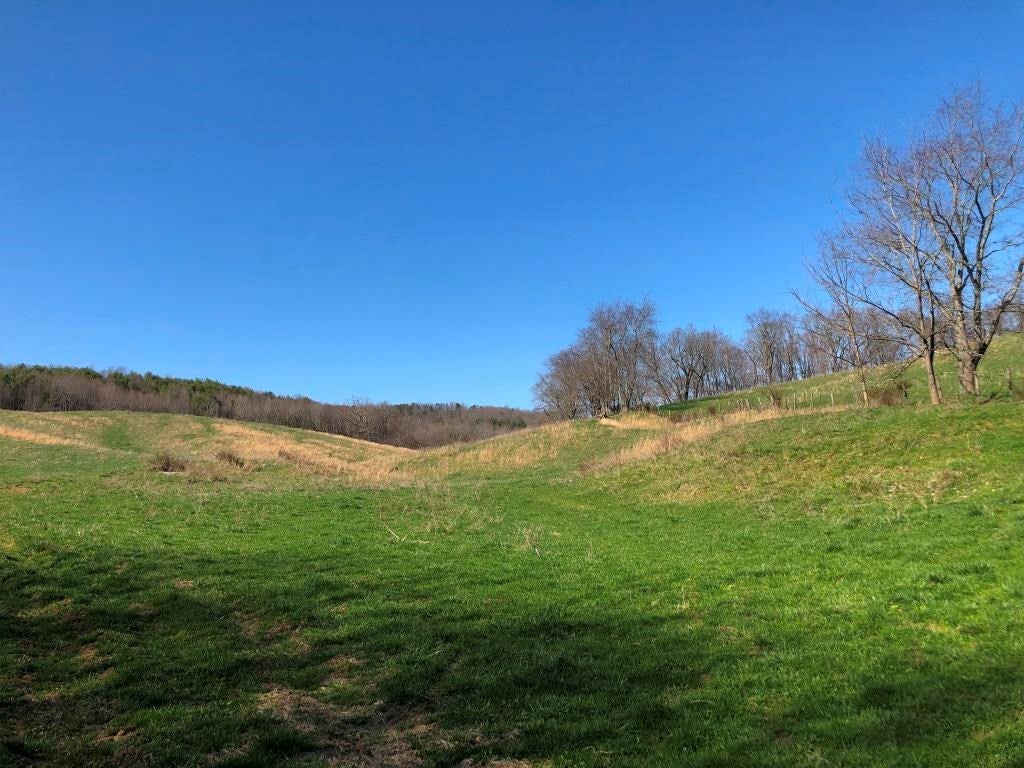 672 Brushy Mountain Road, Unit 11A Rural Retreat, VA 24368 - Photo 12 of 55 Gallery Image 12