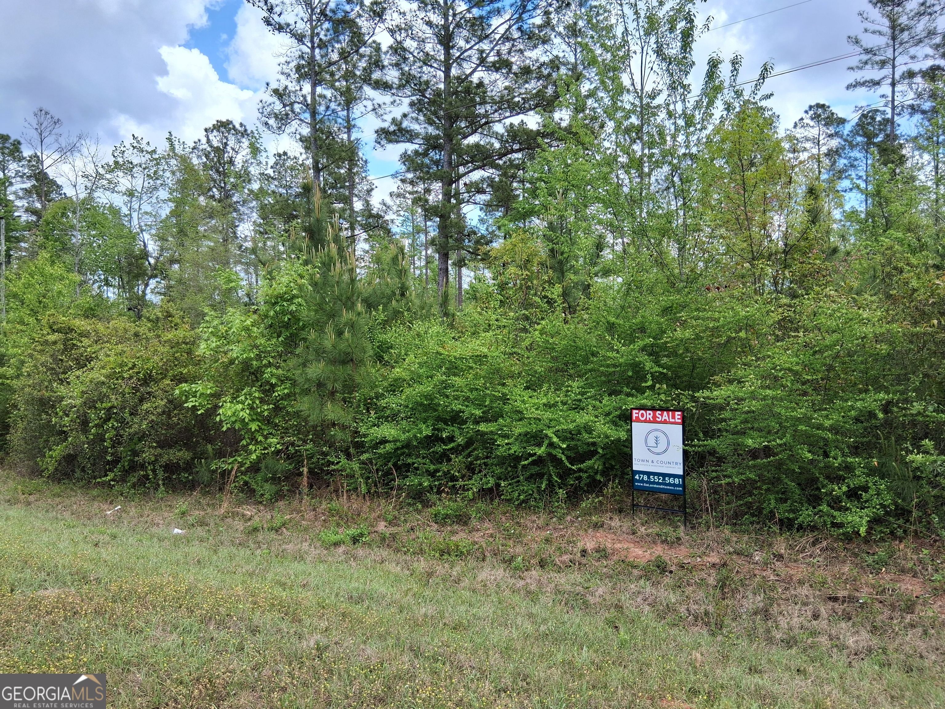 7913 Tennille Oconee Road Tennille, GA 31089 - Photo 1 of 1 Gallery Image 1