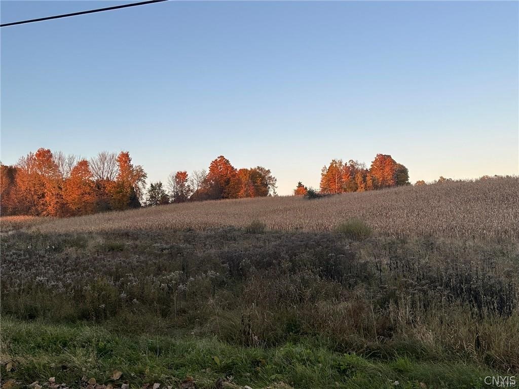 0 Limekiln Road Richville, NY 13681 - Photo 1 of 9