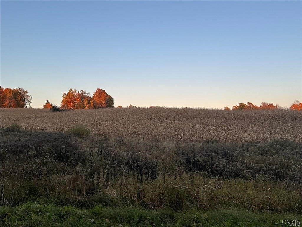 0 Limekiln Road Richville, NY 13681 - Photo 2 of 9