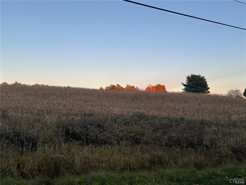 0 Limekiln Road Richville, NY 13681 - Photo 3 of 9