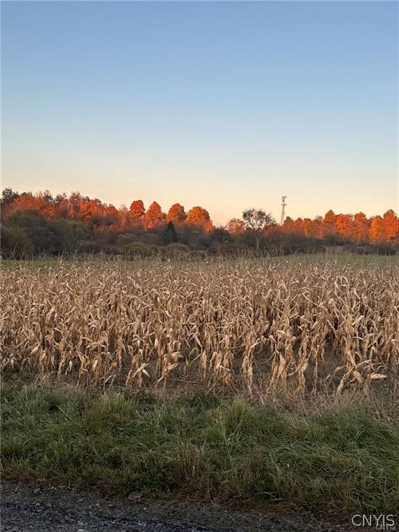 0 Limekiln Road Richville, NY 13681 - Photo 5 of 9