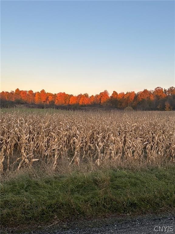 0 Limekiln Road Richville, NY 13681 - Photo 6 of 9