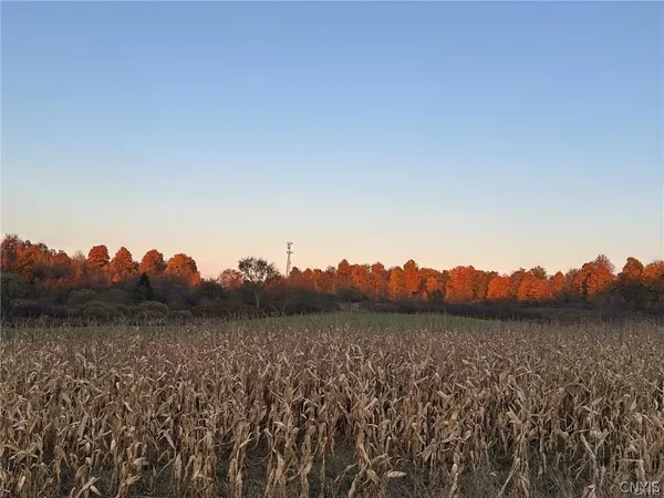 $85,000 | 0 Limekiln Road, Richville, NY 13681