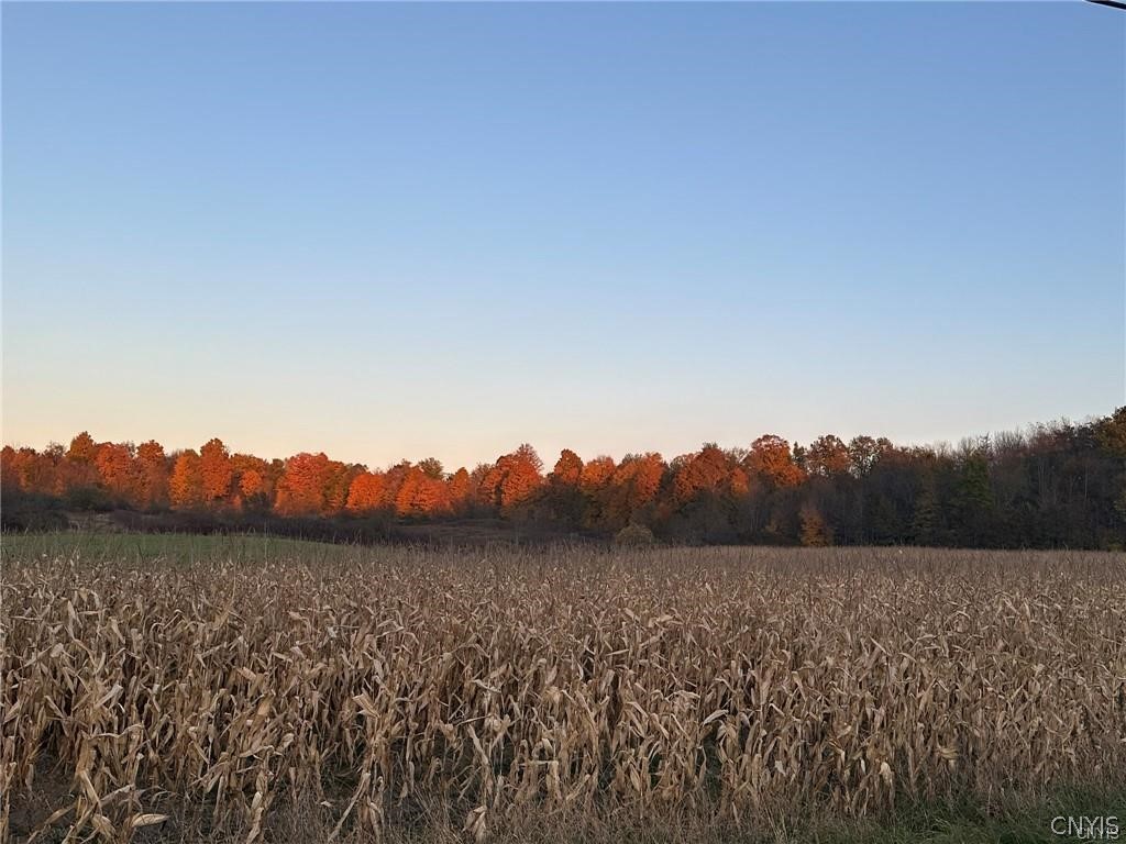 0 Limekiln Road Richville, NY 13681 - Photo 8 of 9