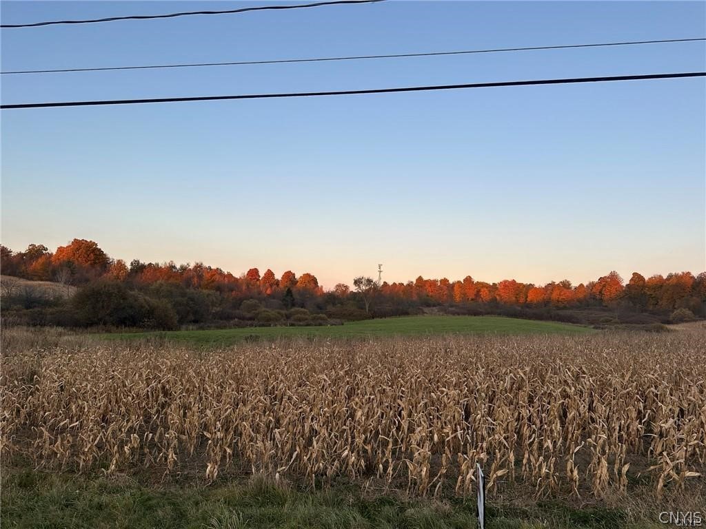 0 Limekiln Road Richville, NY 13681 - Photo 9 of 9