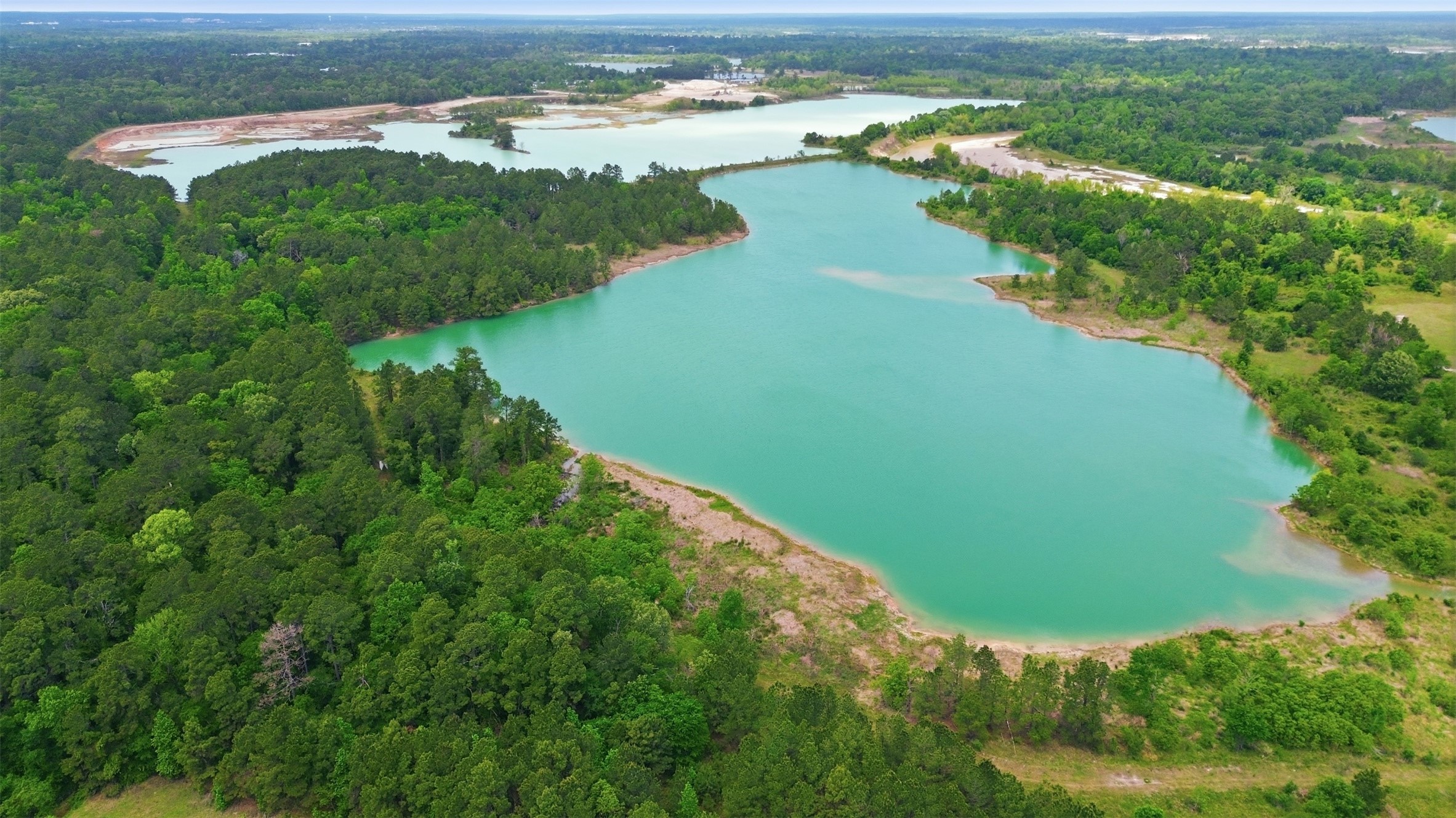 31246 Crescent Timbers Lane Spring, TX 77386 - Photo 42 of 43