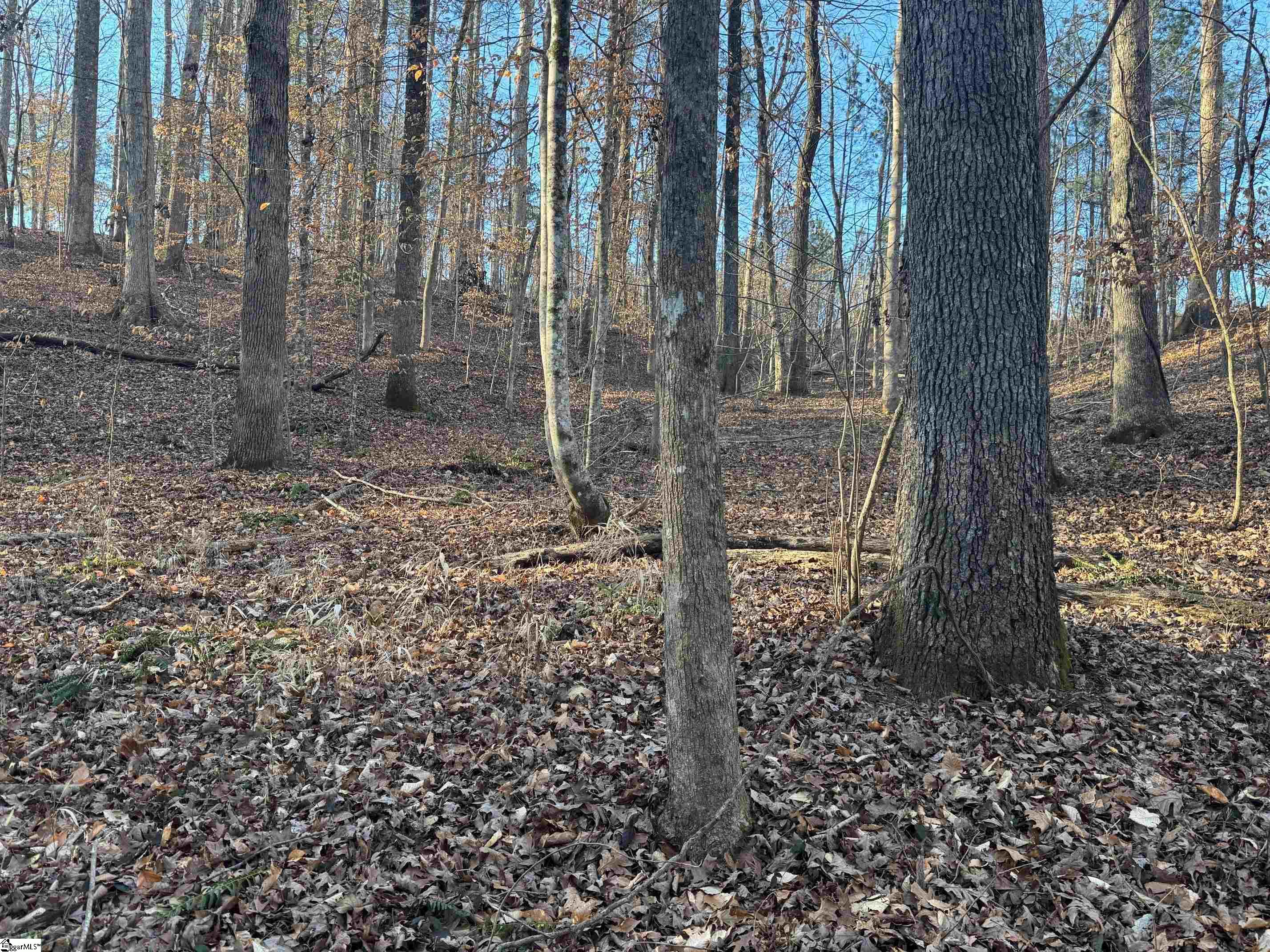 230 Lakeside Drive Six Mile, SC 29682 - Photo 11 of 19