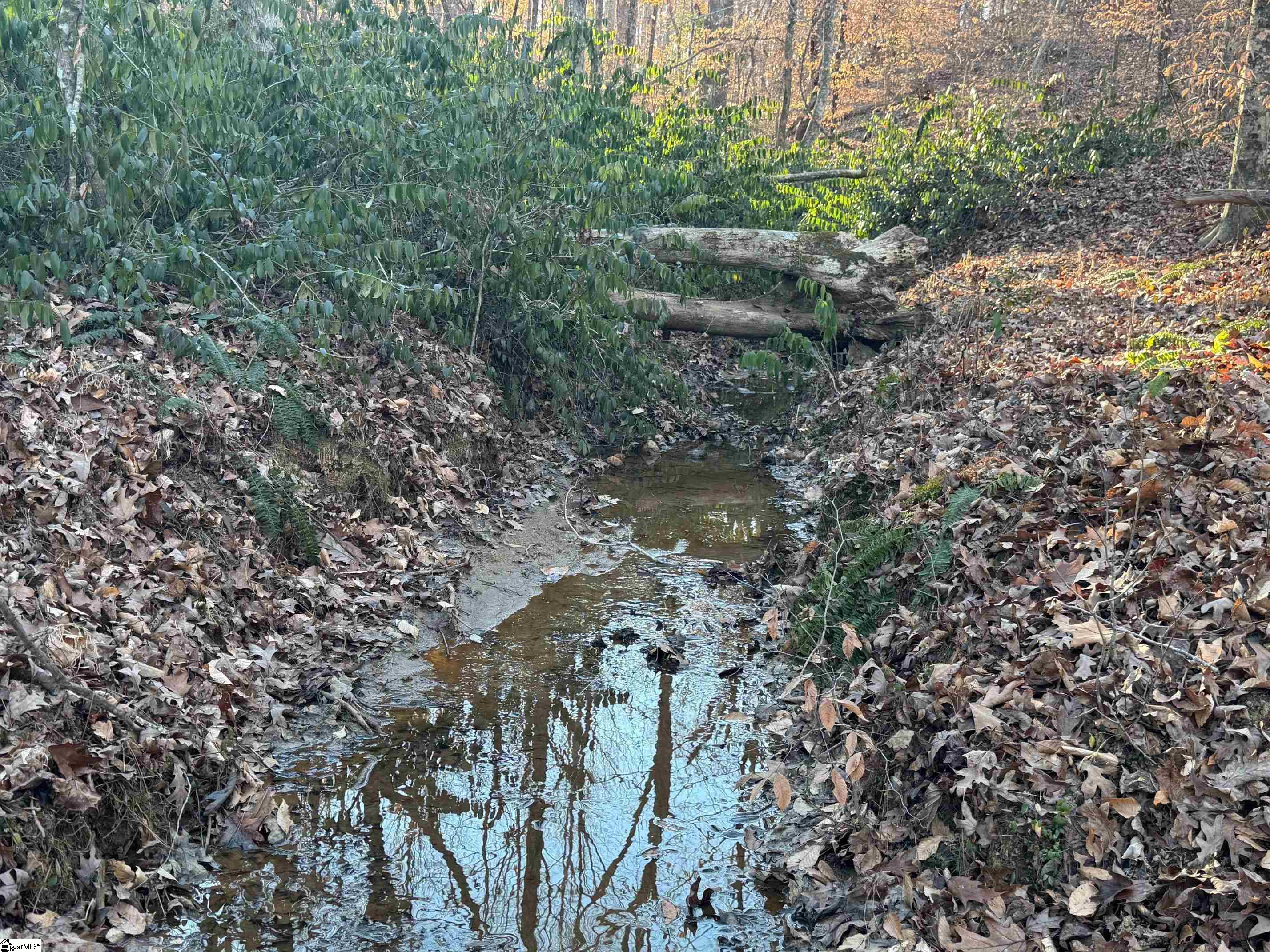 230 Lakeside Drive Six Mile, SC 29682 - Photo 12 of 19