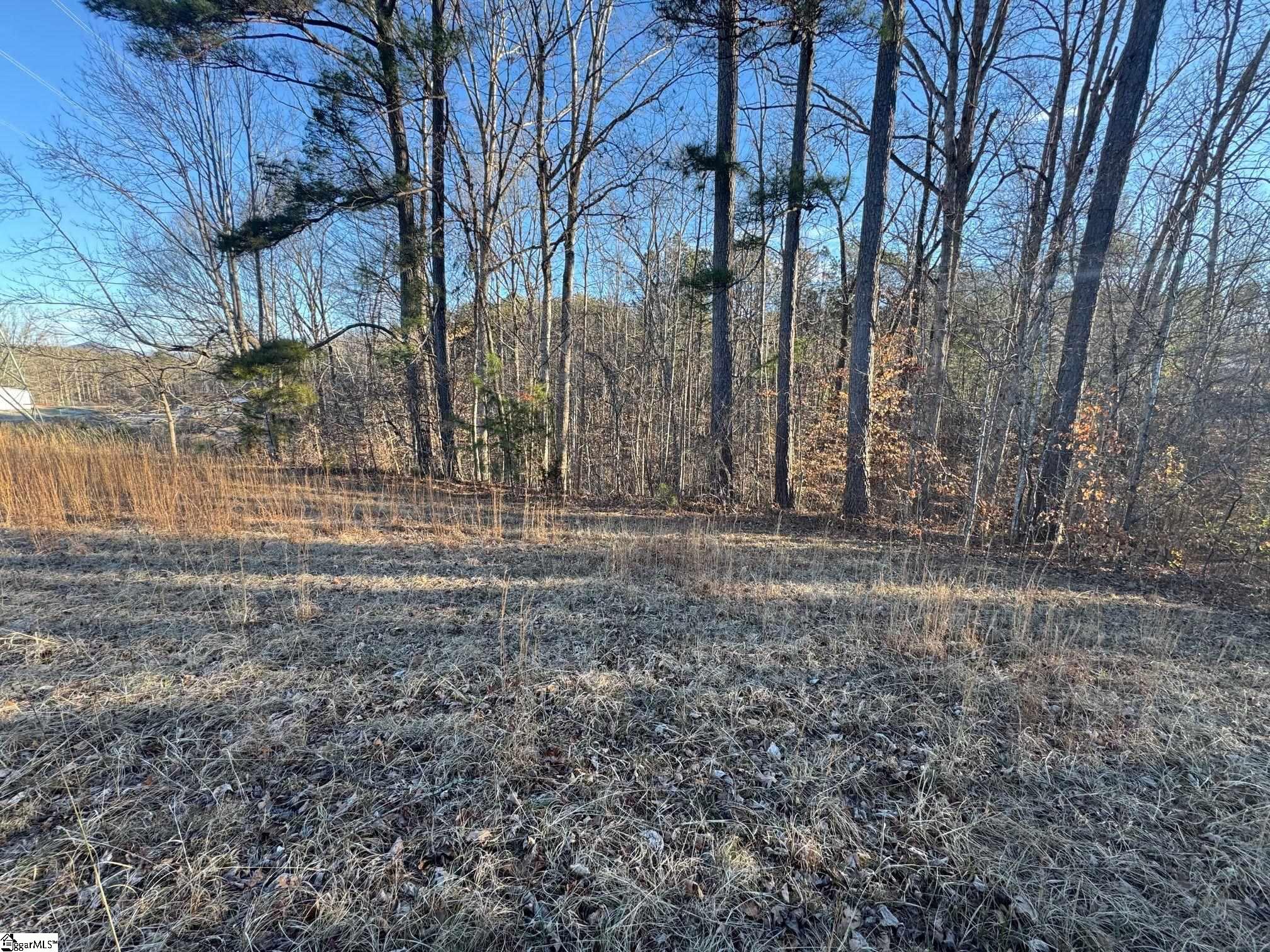 230 Lakeside Drive Six Mile, SC 29682 - Photo 13 of 19