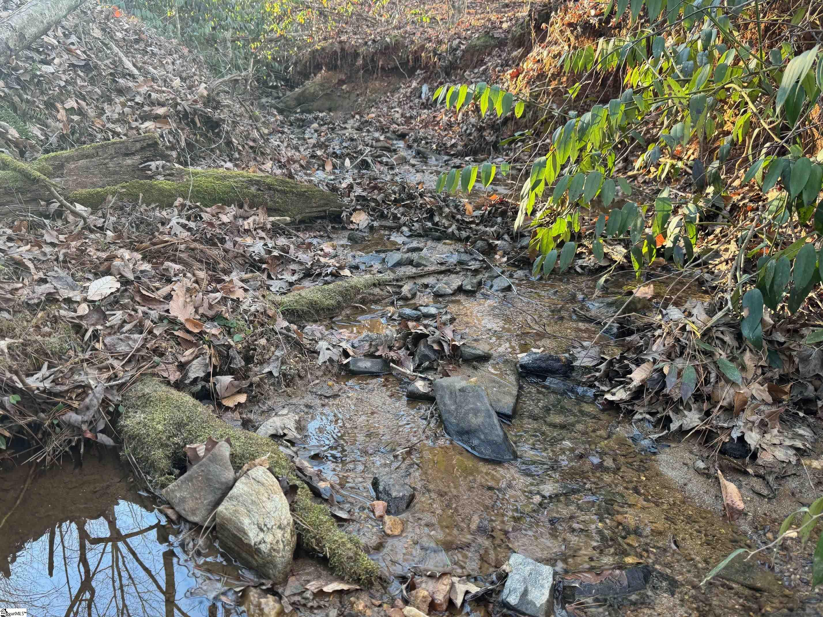 230 Lakeside Drive Six Mile, SC 29682 - Photo 2 of 19