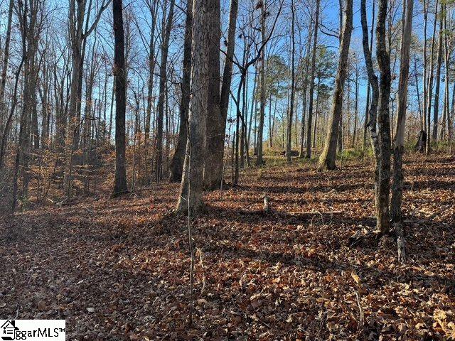 230 Lakeside Drive Six Mile, SC 29682 - Photo 3 of 19