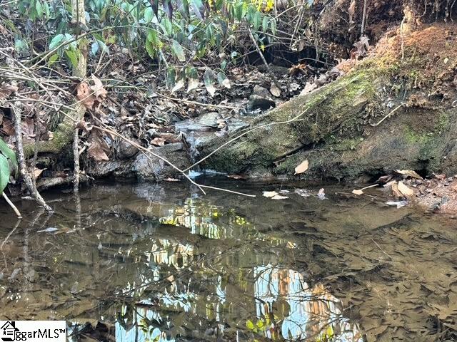 230 Lakeside Drive Six Mile, SC 29682 - Photo 4 of 19