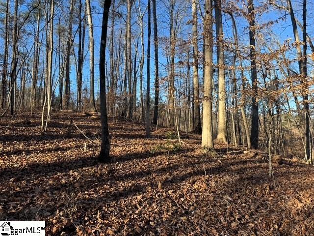 230 Lakeside Drive Six Mile, SC 29682 - Photo 5 of 19