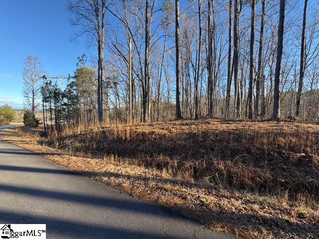 230 Lakeside Drive Six Mile, SC 29682 - Photo 6 of 19