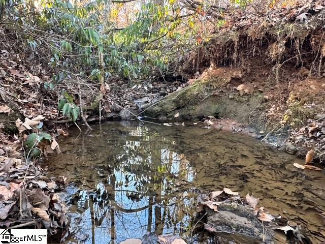 230 Lakeside Drive Six Mile, SC 29682 - Photo 7 of 19