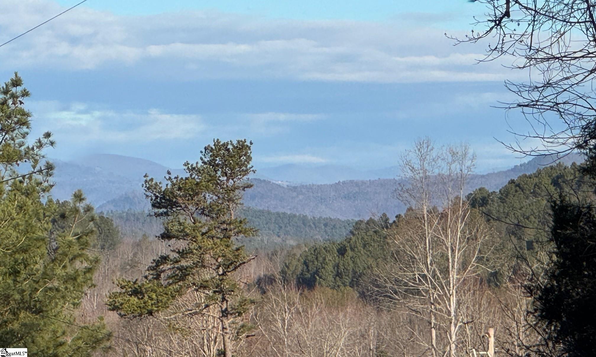 230 Lakeside Drive Six Mile, SC 29682 - Photo 9 of 19