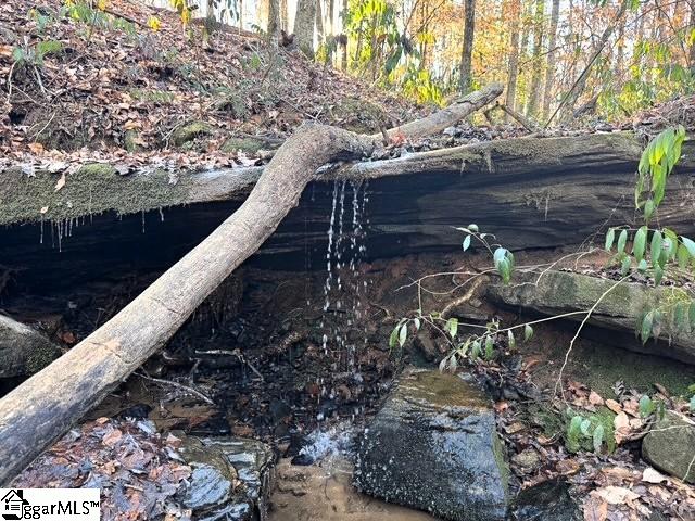 230 Lakeside Drive Six Mile, SC 29682 - Photo 10 of 19