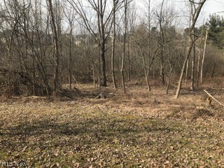 Frost Road Streetsboro, OH 44241 - Photo 3 of 4