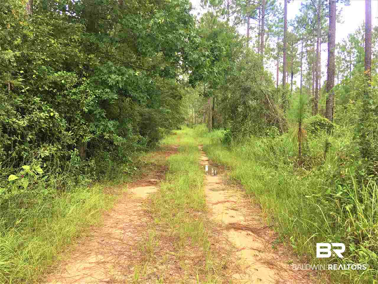 0 Dyas Road Perdido, AL 36562 - Photo 4 of 7 Gallery Image 4