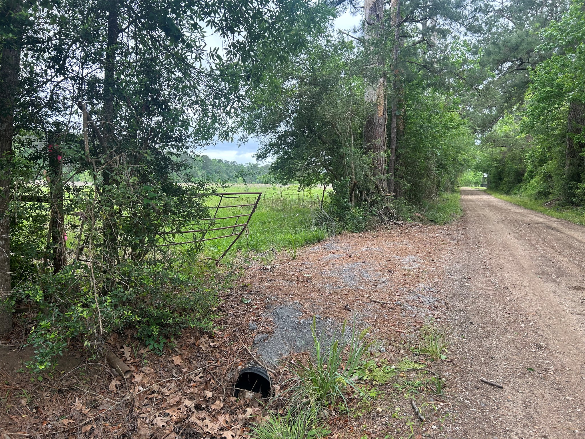 Lot 1 Minnie West Road Hull, TX 77564 - Photo 2 of 16 a backyard of a house with lots of green space