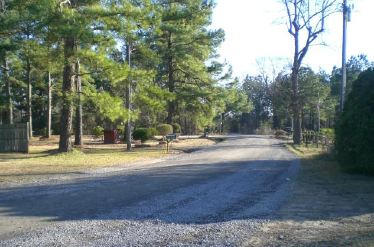 262 Jacob Piland Road Moncks Corner, SC 29461 - Photo 3 of 12 st