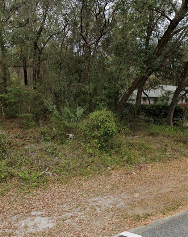 101 Piney Woods Road Apopka, FL 32703 - Photo 2 of 5 a view of a forest with trees in front of it