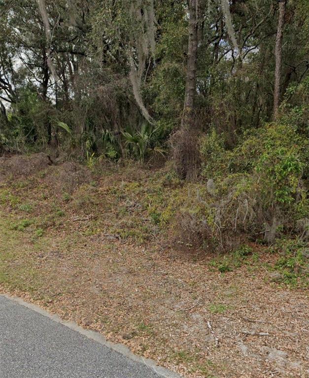 101 Piney Woods Road Apopka, FL 32703 - Photo 3 of 5 a view of a dry yard with trees