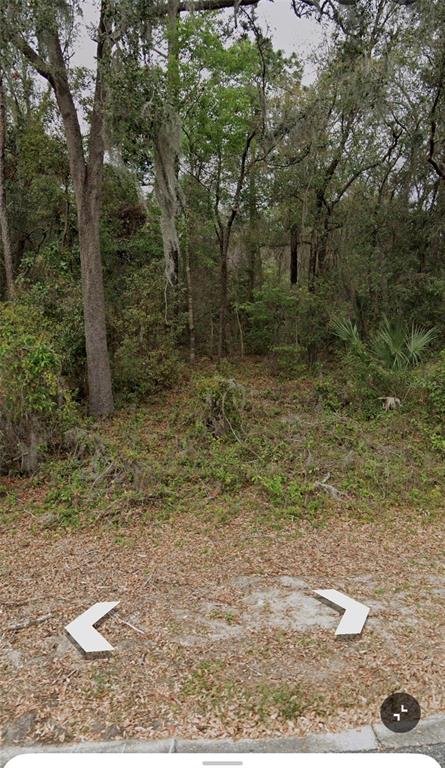 101 Piney Woods Road Apopka, FL 32703 - Photo 4 of 5 a view of a backyard
