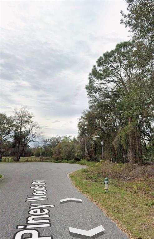 101 Piney Woods Road Apopka, FL 32703 - Photo 5 of 5 a view of swimming pool with a yard