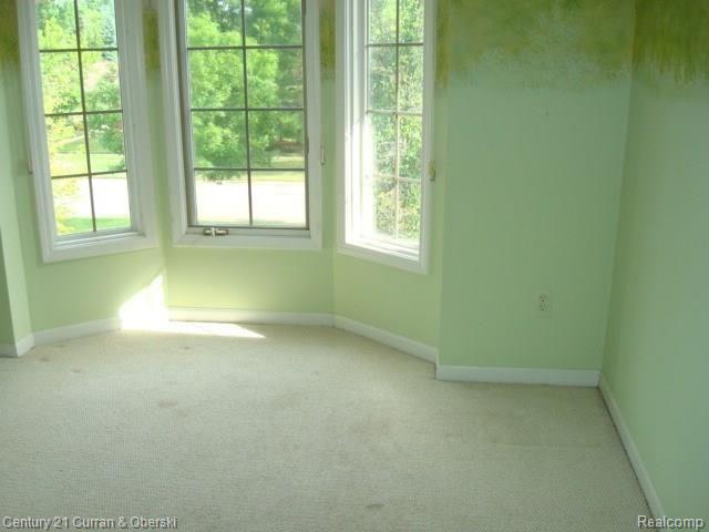 35377 Curtis Road Livonia, MI 48152 - Photo 46 of 59 DSC02029.JPG