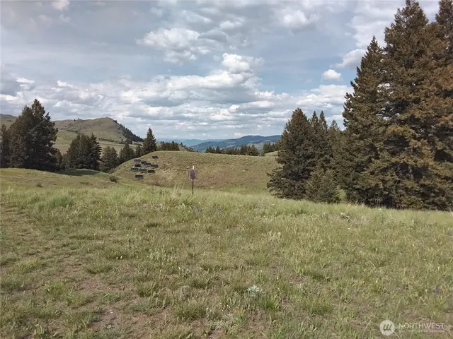 a big tree is standing in the middle of a field