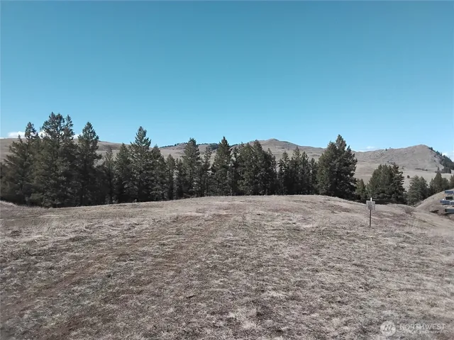 a view of dirt yard with mountain view