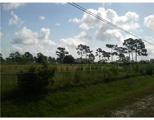 0 Whispering Pines Road Orlando, FL 32824 - Photo 1 of 1 Exterior Front - Looking towards the East across the lot