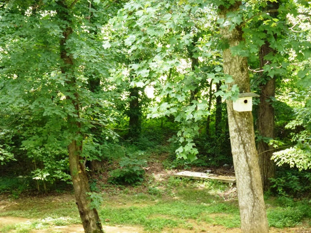 913 Parsonage Road White Pine, TN 37890 - Photo 22 of 22 046 (44)