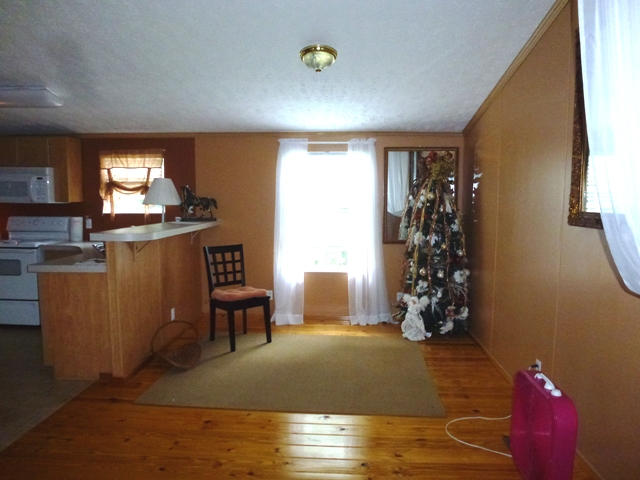 913 Parsonage Road White Pine, TN 37890 - Photo 10 of 22 046 (12)