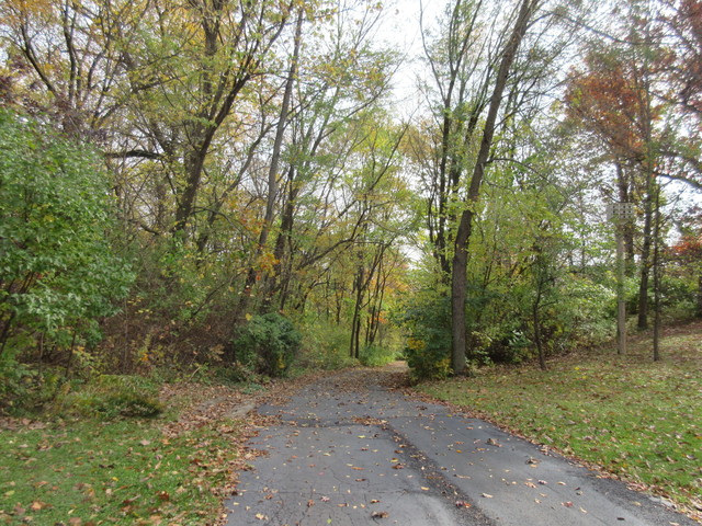 6680 South Anterier Road Dixon, IL 61021 - Photo 4 of 21 a view of a forest with trees