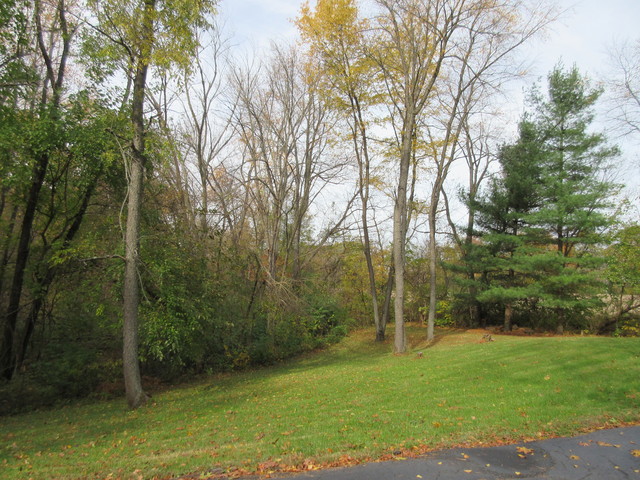 6680 South Anterier Road Dixon, IL 61021 - Photo 5 of 21 a view of a field with tall trees