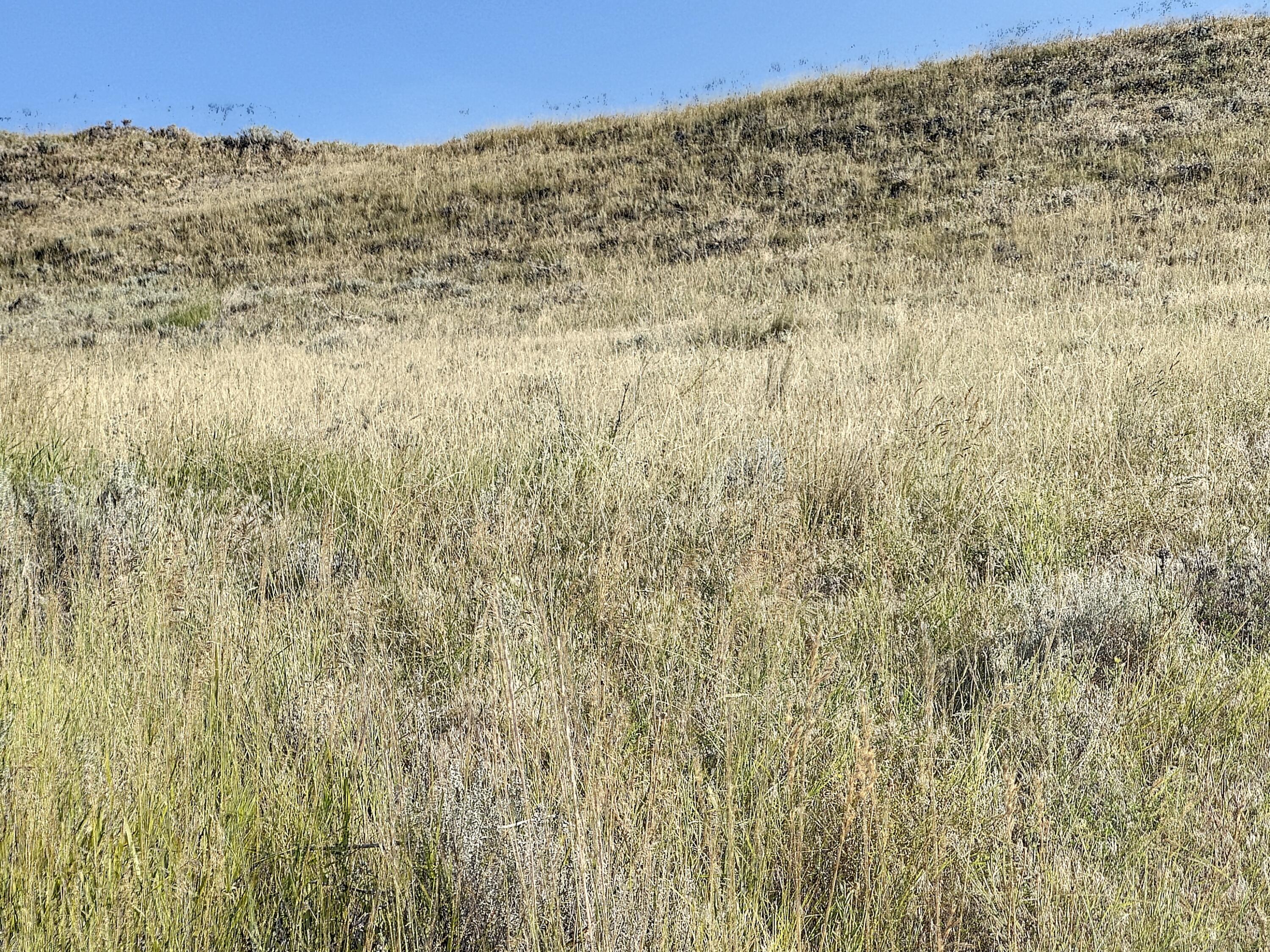 534 Hidden Valley Circle Buffalo, WY 82834 - Photo 1 of 1 Pic