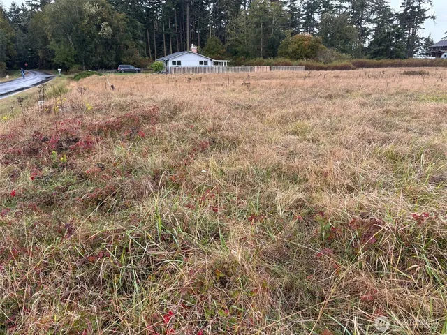 $34,900 | 0 Monterey Avenue, Coupeville, WA 98239