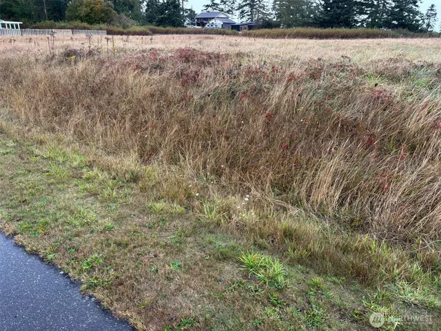 $34,900 | 0 Monterey Avenue, Coupeville, WA 98239